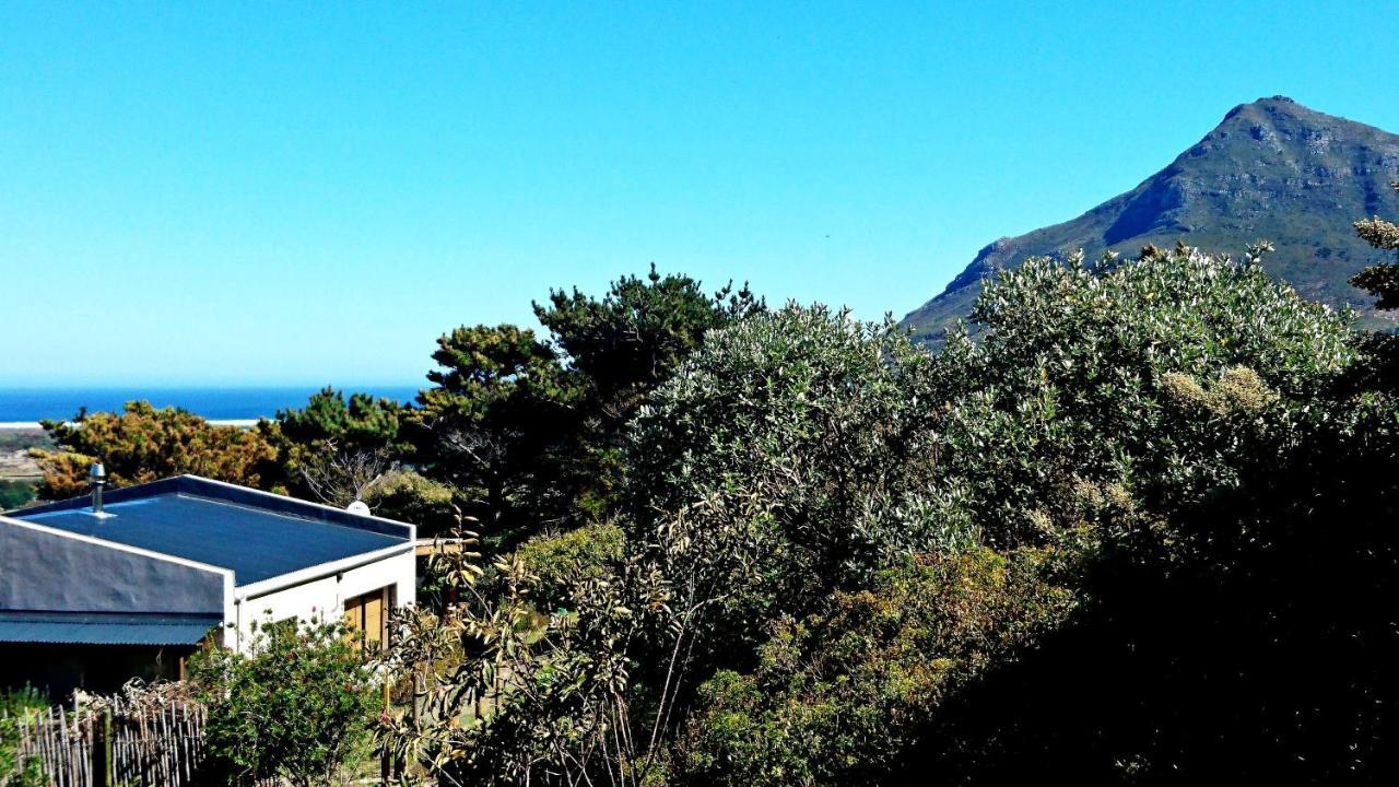 Apartment Bundu's